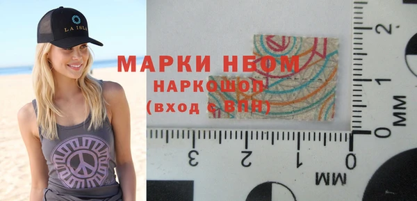 шишки Абаза