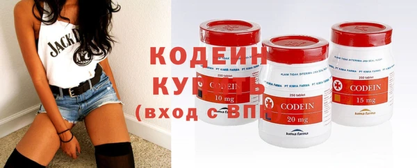 шишки Абаза