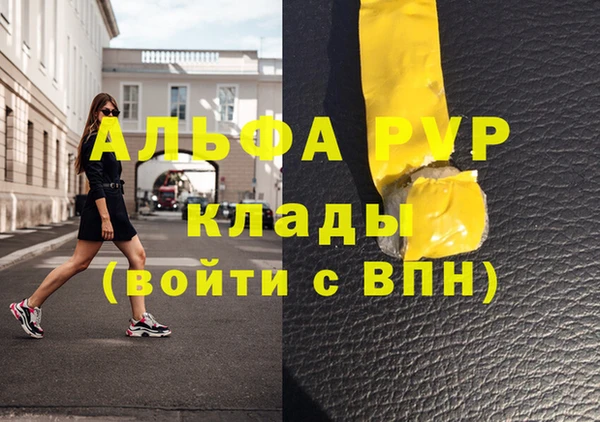шишки Абаза