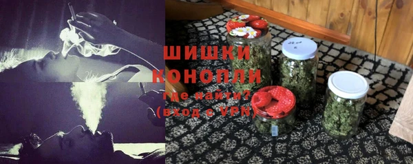 шишки Абаза