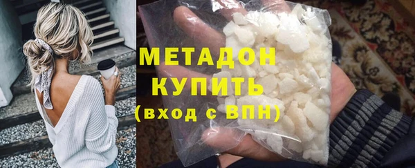 шишки Абаза