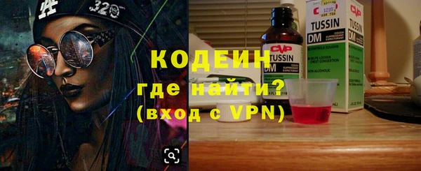 шишки Абаза