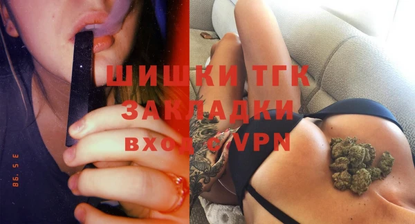 шишки Абаза