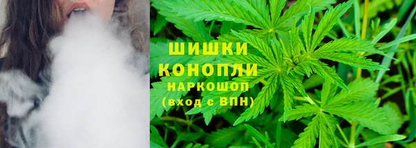 шишки Абаза