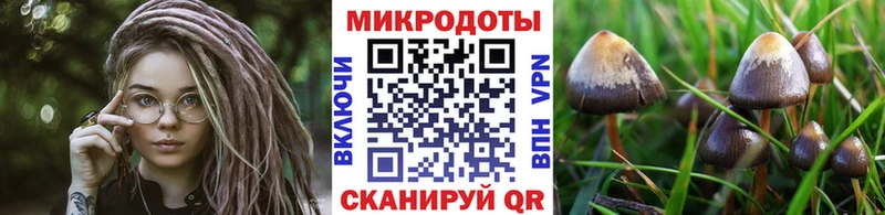 цена   Власиха  Псилоцибиновые грибы GOLDEN TEACHER 