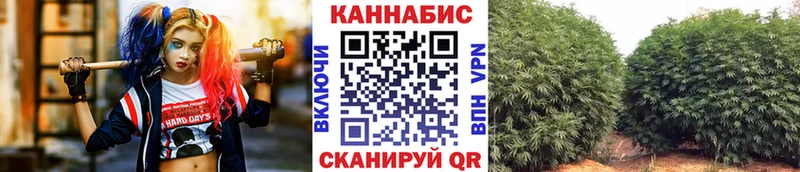 Каннабис сатива  где купить   Власиха 
